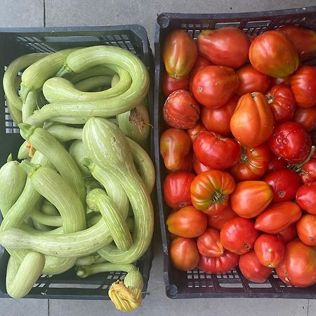 Agriturismo A Canonica Garlenda Ngoại thất bức ảnh