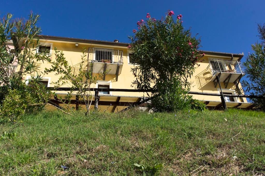 Agriturismo A Canonica Garlenda Ngoại thất bức ảnh