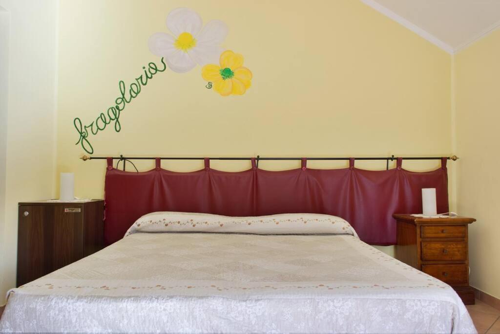 Agriturismo A Canonica Garlenda Ngoại thất bức ảnh