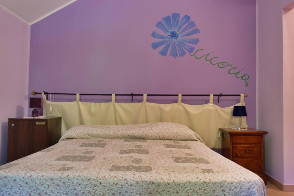 Agriturismo A Canonica Garlenda Ngoại thất bức ảnh